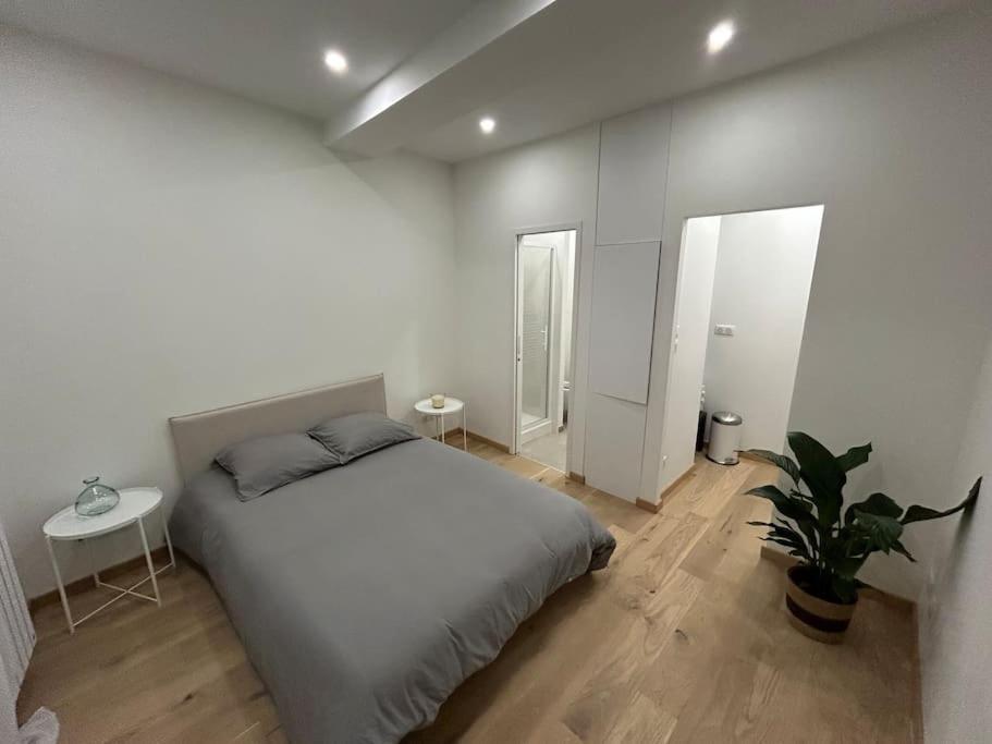 Le Magnifique, Hyper Centre Apartment Toulouse Bagian luar foto